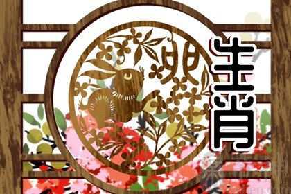 属兔的2023年本命年运势如何 事业面临坎坷且财运运势较差