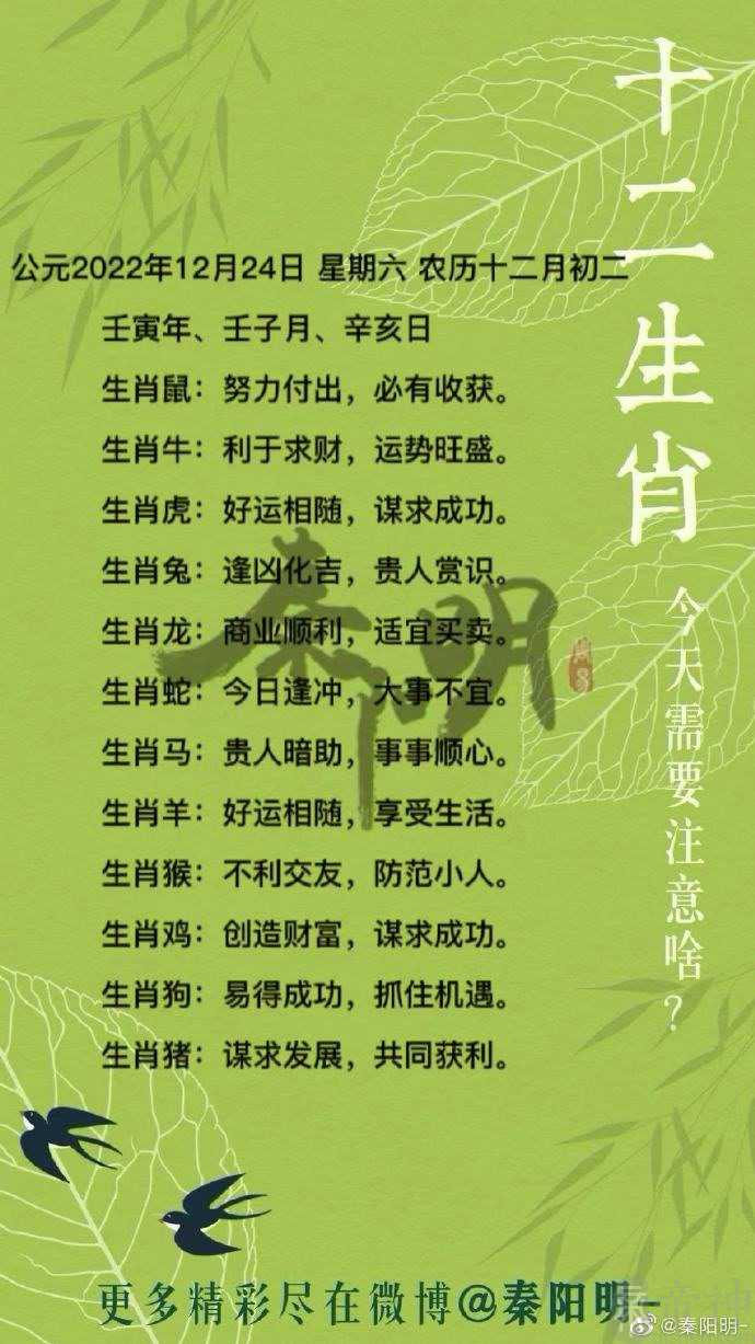 秦阳明每日生肖运势2022年12月24日