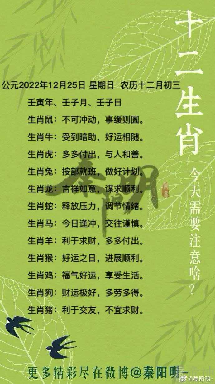 秦阳明每日生肖运势2022年12月25日
