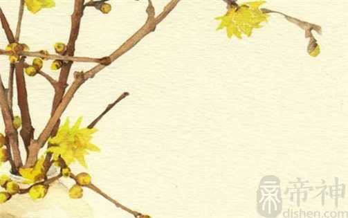 生肖属鸡人2023年农历二月动土最吉利的日子,哪天宜动土