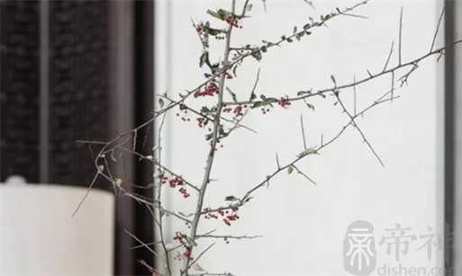 生肖属鸡人2023年农历二月搬家好吗,乔迁最吉利的日子