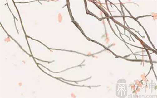 2023年属龙人2月出行黄道吉日有哪几天 2023年属龙人2月出行黄道吉日有哪几天