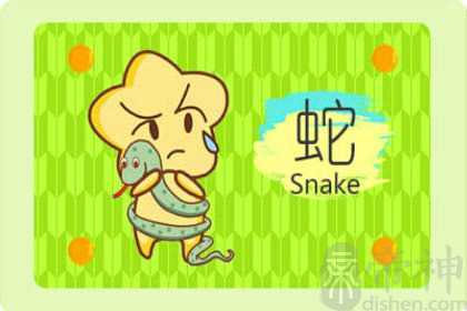 近七天生肖蛇周运势2022（12.26-1.1）