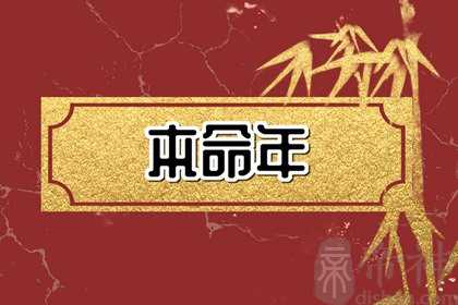 兔年配什么生肖好 属鼠或者属羊