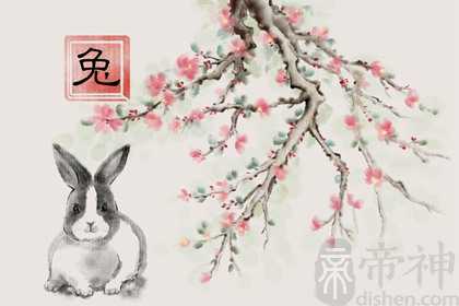属兔最配生肖 和生肖狗共同点最多