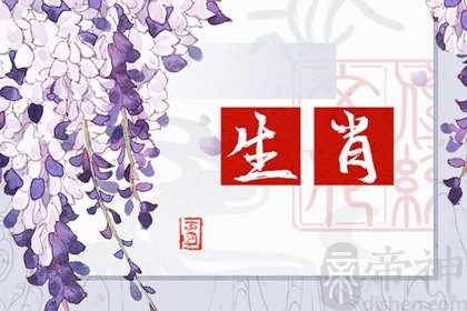 兔子婚姻配什么生肖 跟属猪人非常相配