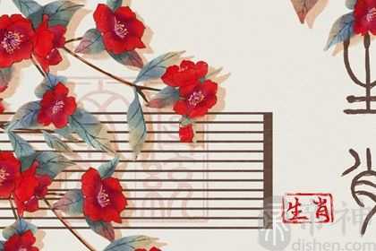 最准的2023年生肖运程运势 生肖全年运势大全