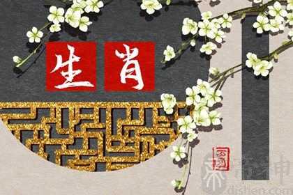 12生肖2023年运势详解 生肖2023年运程如何