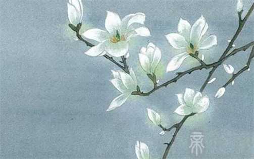 生肖属牛人2023年3月最吉利的安门吉日查询,安门哪几方大利 生肖属牛人2023年3月最吉利的安门吉日查询,安门哪几方大利