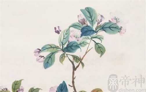 生肖猪2023年3月开业好不好 黄历宜开张日子