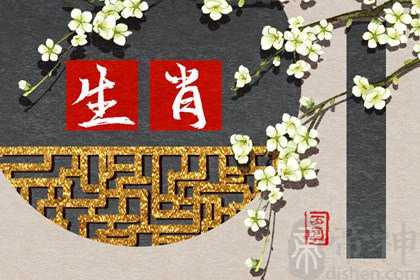 2023年运势最佳的生肖 生肖狗做什么都积极认真