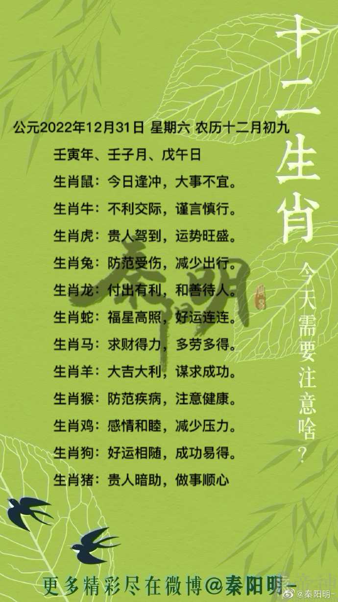 秦阳明每日生肖运势2022年12月31日