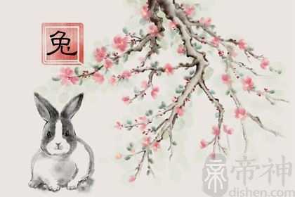 属兔女在2023年婚姻怎么样呢 遇到懂自己的人则极其顺利