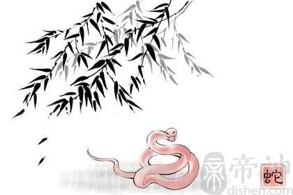属蛇的人2023可以结婚吗 2023年属蛇人结婚建议