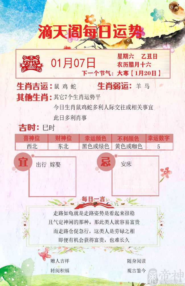 滴天居士2023年1月7日生肖运势