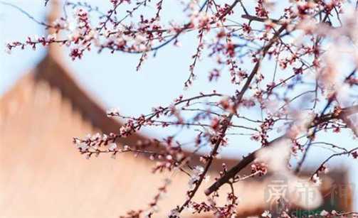 2022年腊月二十七是几月几号 是黄道吉日吗