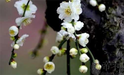 2023年2月5日元宵节修建房屋开工动土好吗 当天动土吉时查询
