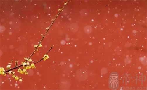 2023年农历二月初四开门营业好吗  今天适合开张开业吗