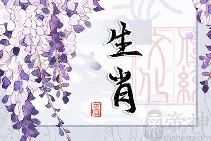 猪和兔子生肖配吗 有着很美好的婚姻生活