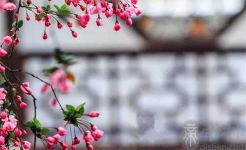 2023年正月初一是几月几号 春节当天是黄道吉日吗