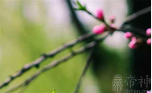 2023年2月7日出行好不好 是出门旅游的最佳时机吗