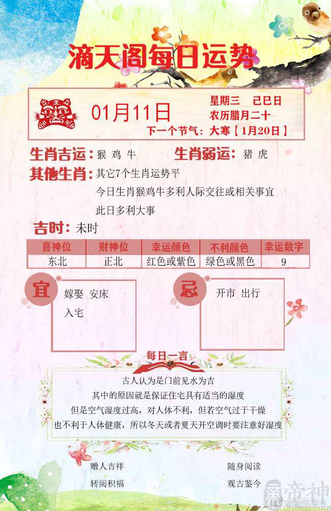 滴天居士2023年1月11日生肖运势