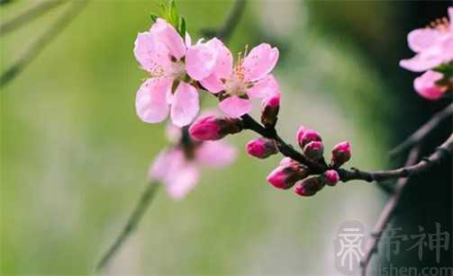 2023年2月8日是出行黄道吉日吗 这天出门吉不吉利