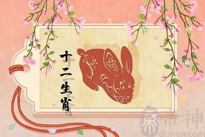 属兔2023婚姻状况 属兔2023结婚的注意事项分析