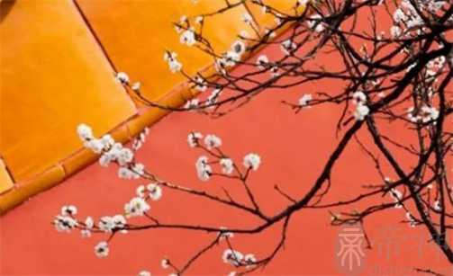 2023年正月初五是几月几号 是黄道吉日吗 2023年正月初五是几月几号 是黄道吉日吗