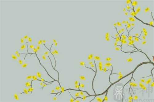 初一十五是几月几号 初一十五的规矩和忌讳