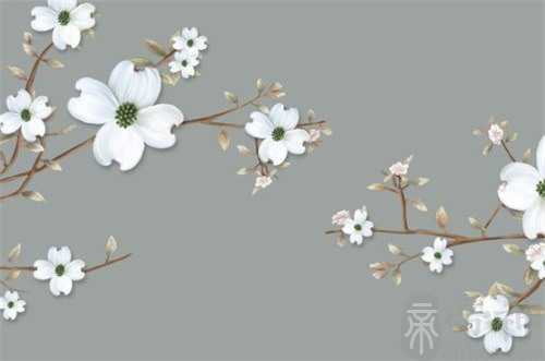 大年三十菜谱家常菜 过年必吃的八大菜