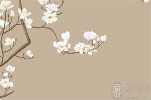 正月初二吃药好吗  正月里吃药好不好吉不吉利