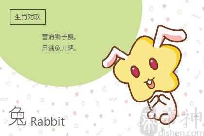 2023年黑兔百年难遇 2023年属兔人的运势如何解析