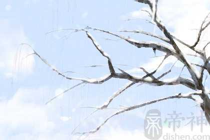 春节的主要活动有哪些 春节有哪些庆祝活动