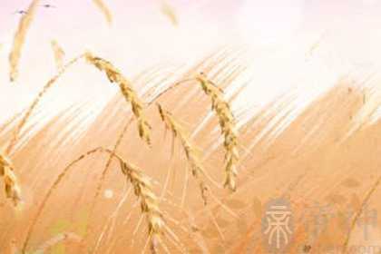 贴春联的由来和寓意 春联由来与历史意义