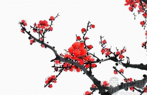 2023年正月十五什么时辰吉利 元宵节几点是吉时