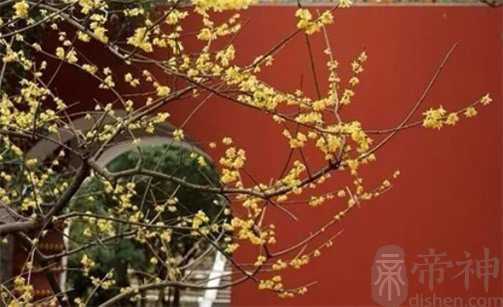 2023年2月20日适合出行求财吗 宜出门奔波吗