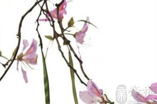 2023年初九开业日子好不好 2023年初九营业好吗