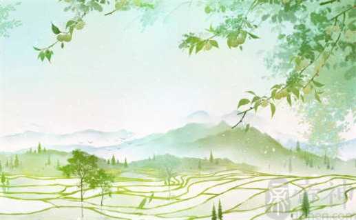 黄道吉日生肖相冲查询：2023年2月20日冲什么生肖