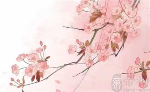 家里财位适合摆放什么东西 如何催旺家中财位
