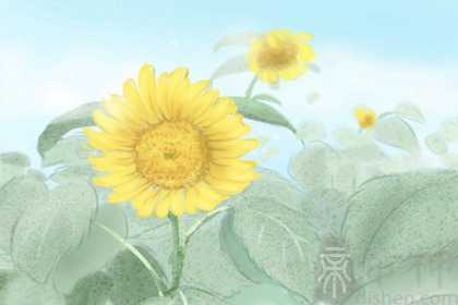 生肖羊和鸡配吗 是可以保持一致的一对