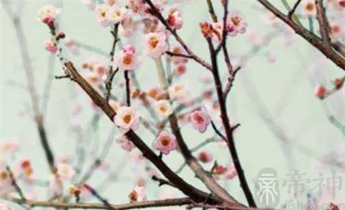 2023年2月21日是店铺开业吉日 老黄历宜开工吗