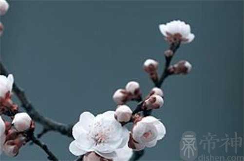 2023正月哪天开工吉日好 2023正月哪一天是好日子