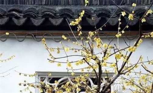 2023年2月23日宜出行吗 是出门的最佳吉日期吗