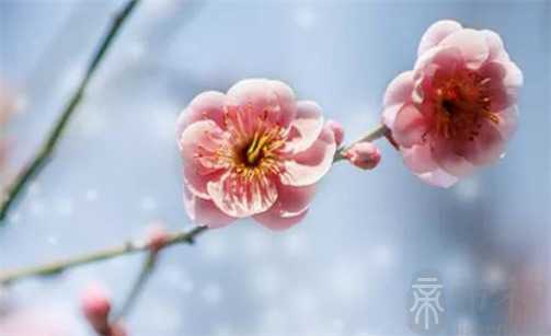 2023年2月23日开工复工吉利吗 是建房开工大吉日吗