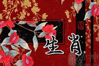 女牛配什么生肖最好 和男鼠是心心相惜的一对