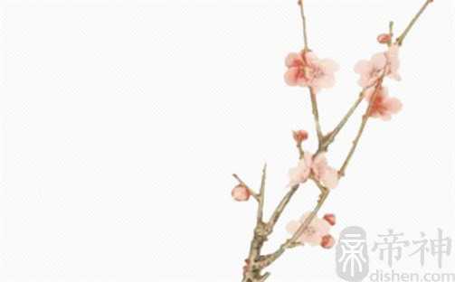 2023年2月24日提车吉利吗  这天是黄道吉日吗