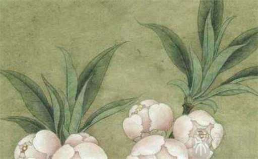 上元节是祭祀先人的节日吗 上元节是鬼节吗能烧纸吗