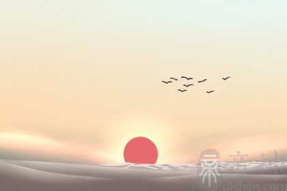 情人节最暖心短句 打动人心的爱情短语