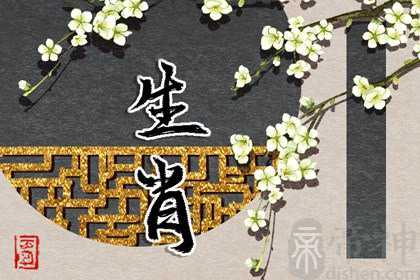 2023年的生肖属什么呢 生肖为兔